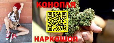 стаф Лесосибирск