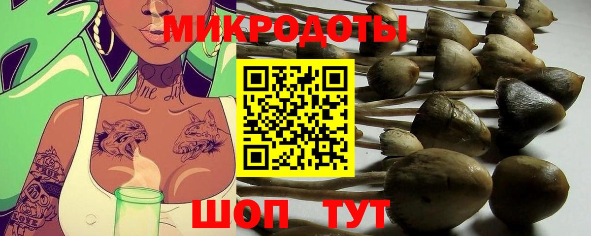 Меф МЯУ МЯУ   A PVP СОЛЬ   Вход с VPN  ГАШ  Сочи  Бошки Шишки 