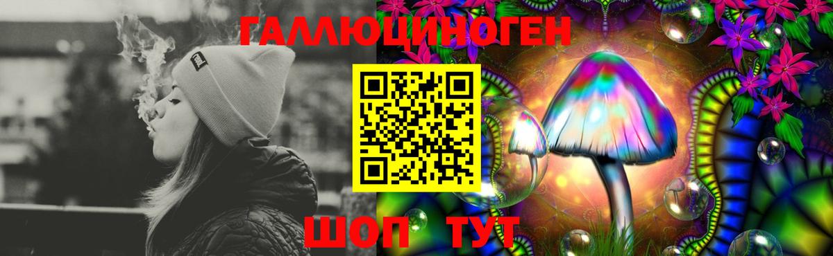 Галлюциногенные грибы GOLDEN TEACHER Сочи